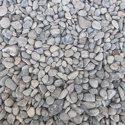 GRAVILLA 10/20